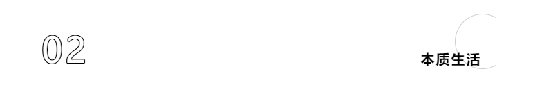 23145.png